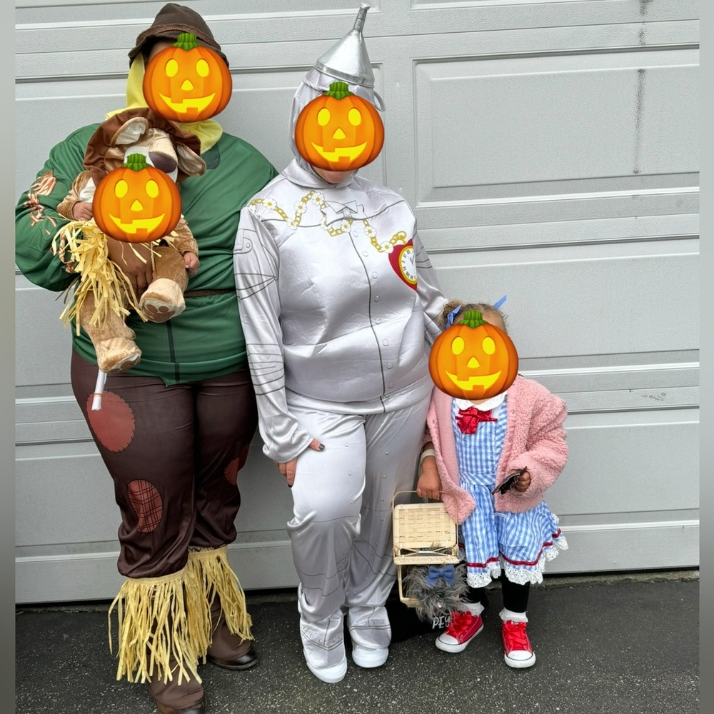 Wizard of Oz Costume - Family Bundle